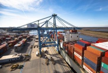 DjXCAIeXgAAd13P 384x300