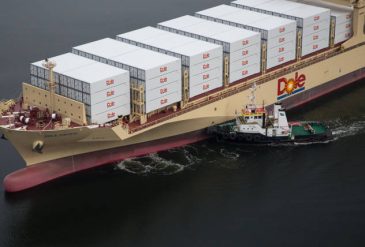 image content 26480118 20181221200105