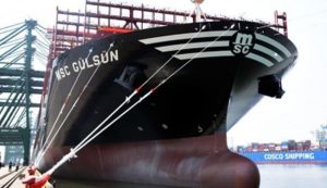 msc 1