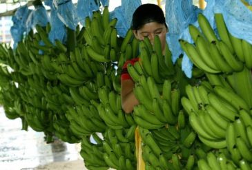 image content 27772561 20190729180059