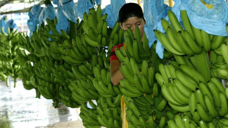 image content 27772561 20190729180059