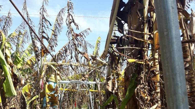 image content 27792624 20190801214002