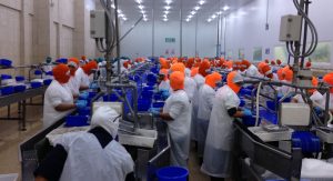 camarones suspendidos