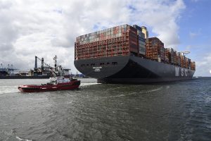 msc-gulsun