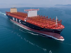msc gulsun nota