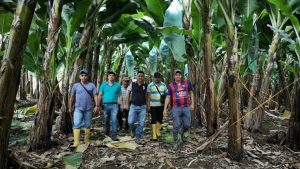 image_content_28233409_20191017200438