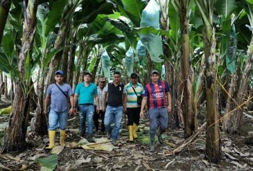 image_content_28233409_20191017200438