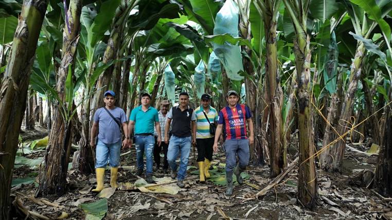 image_content_28233409_20191017200438