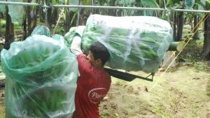 image_content_28233409_20191017200438