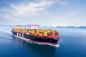 MSC-Nela-4-696x461
