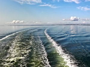 INDUSTRIA CORONAVIRUS