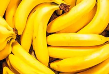 9d99058d36d7f0d4c244ce2926d99ab5_XL