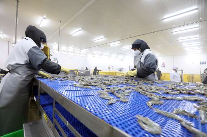 vamos-a-entrar-en-una-guerra-de-precios-imagen-1-_20200827101342-682x512