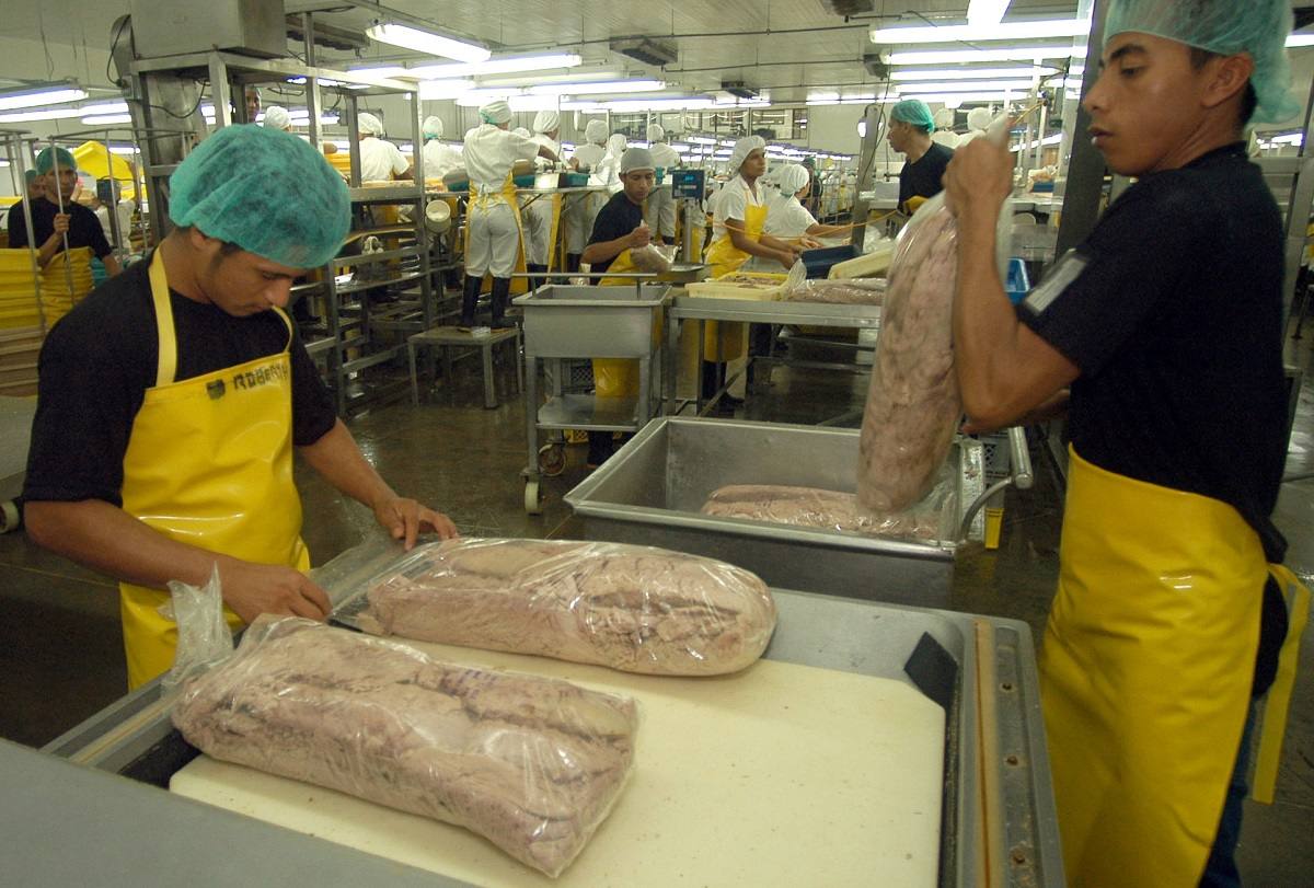 araq17106fd9_215355_1858610