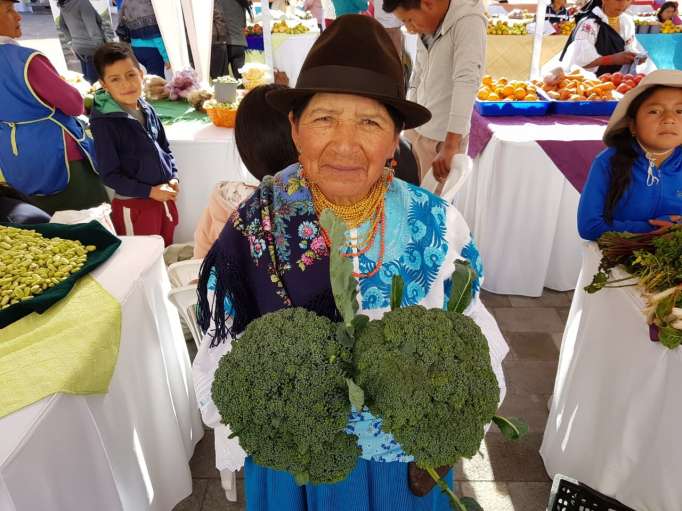 las-exportaciones-agroalimentarias-seran-nuestra-ventaja-competitiva-en-la-proxima-decada-imagen-1-_20200831104242-682x512