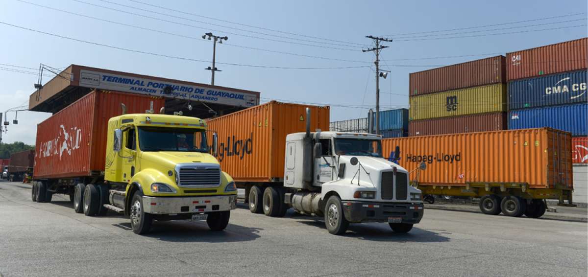 5eeb723c1ce7e346f2a00f7611b0866b_XL