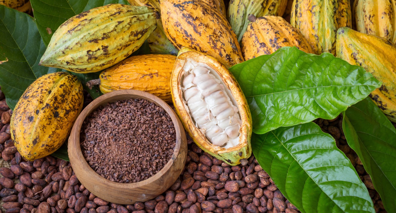 Depositphotos_202231362_xl-2015