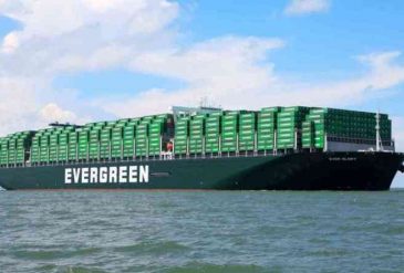 evergreen-ever-glory