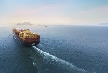 resized-photo-for-website