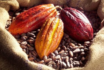 Acuerdo entre mexico y ec