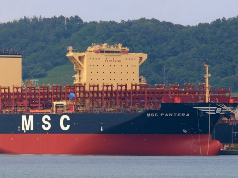 WhatsApp Image 2024-10-21 at 12.21.13 PM