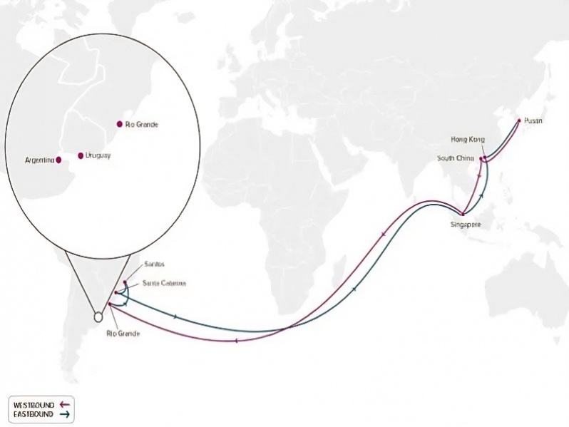 798 - 2025-01-16T200221.332