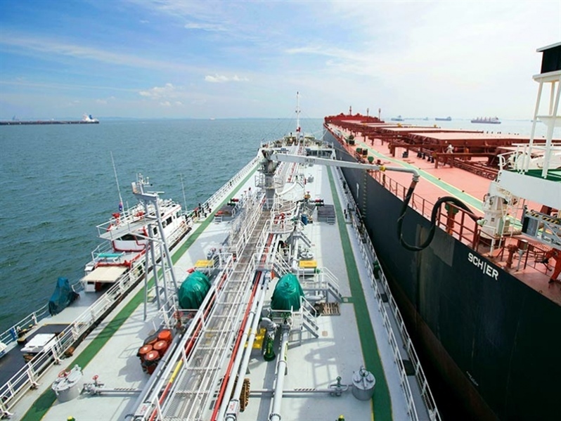 798 - 2025-01-21T095715.547