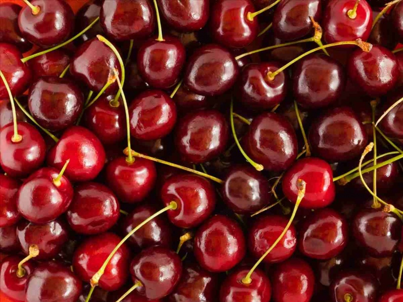 798 - 2025-01-23T154127.776