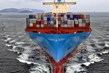 798 - 2025-01-24T120945.477