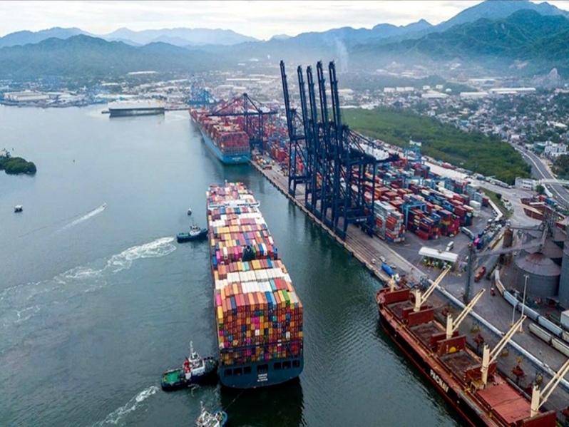 798 - 2025-01-31T071338.191