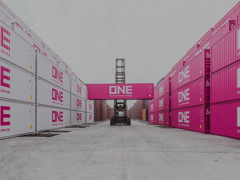 798 - 2025-02-05T120203.535