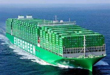 798 - 2025-02-14T131928.305