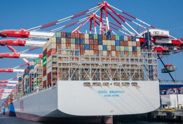 798 - 2025-02-14T132842.568