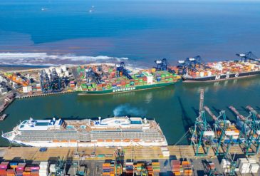 798 - 2025-02-20T095851.041