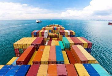 798 - 2025-03-11T082604.042