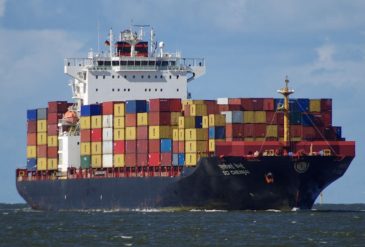 798 - 2025-03-11T083306.473