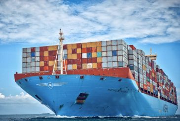 798 - 2025-03-12T120319.781