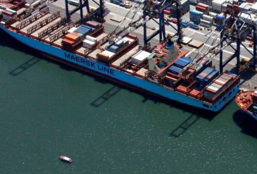 798 - 2025-03-17T075015.051