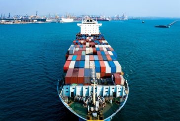 798 - 2025-03-17T080037.816