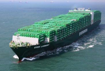 Evergreen-MEGABUQUE (1)