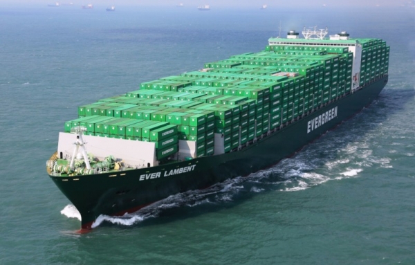 Evergreen-MEGABUQUE (1)