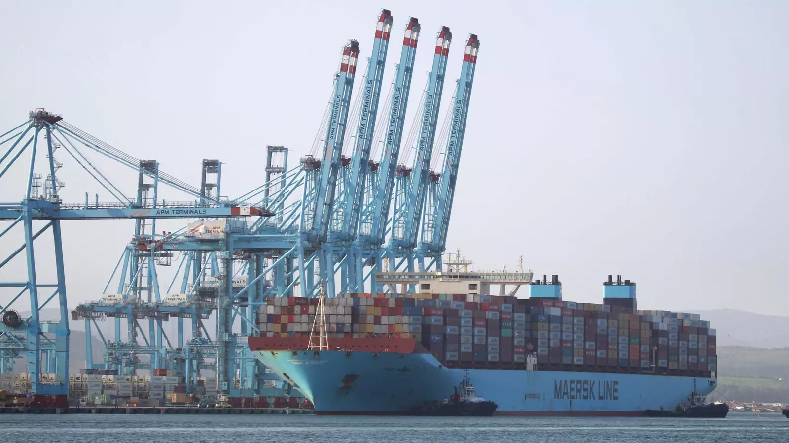 16d5546d-22d9-45c5-9405-84903cb8dbbe_16-9-aspect-ratio_1600w_0