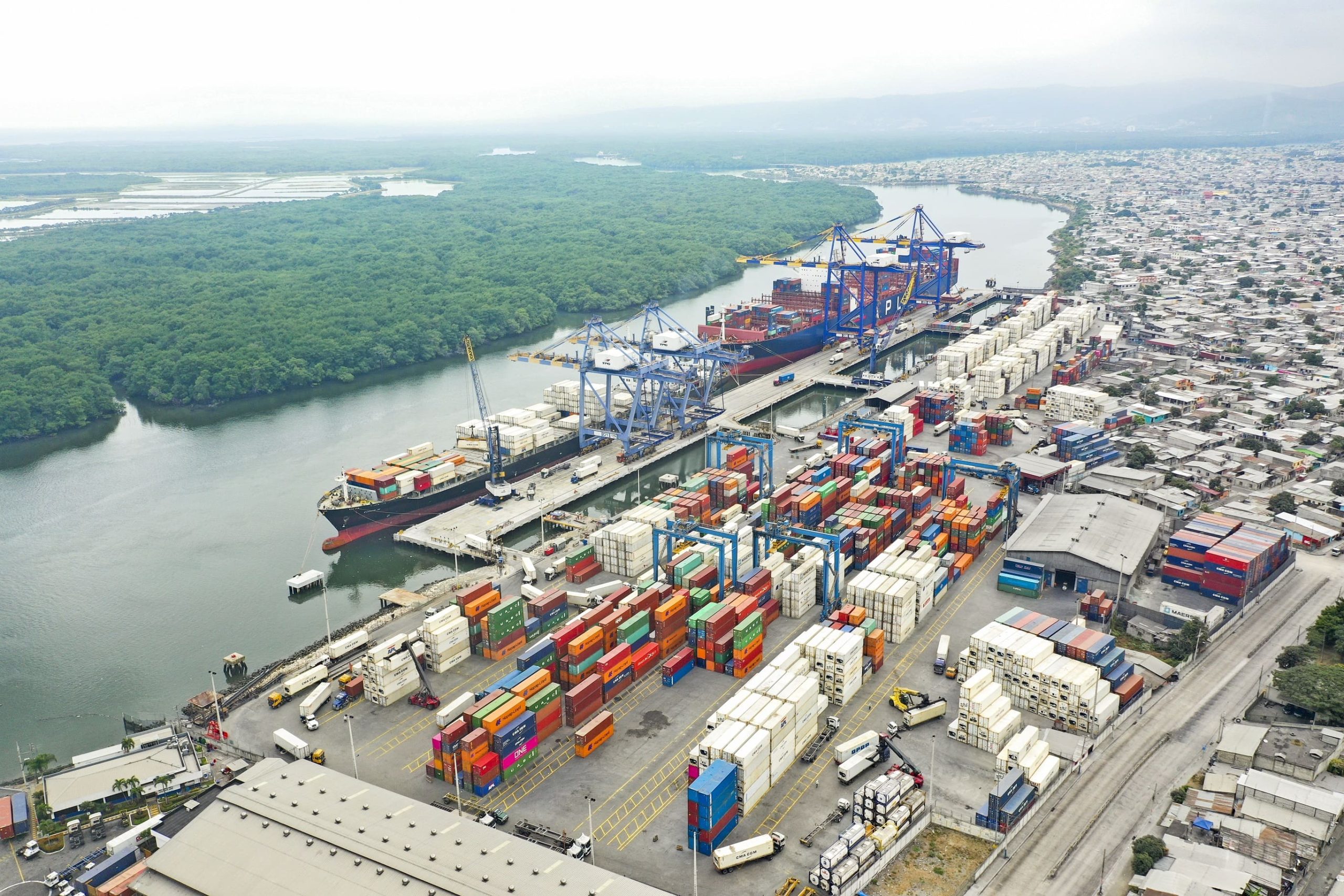 2J55TR5KTZG7NCOPW3EZHBEFYU (1)