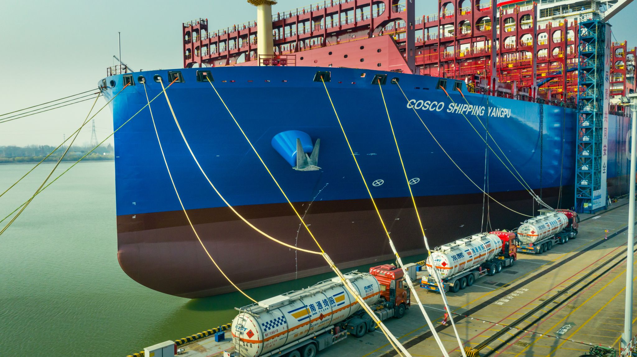 COSCO_shipping_yangpu