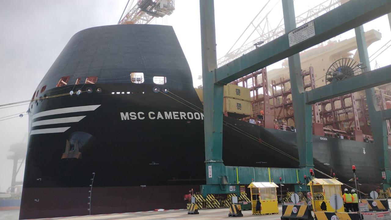 Escala-inaugural-del-MSC-Cameroon-en-DP-World-San-Antonio